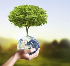 protection de l'environnement et rse