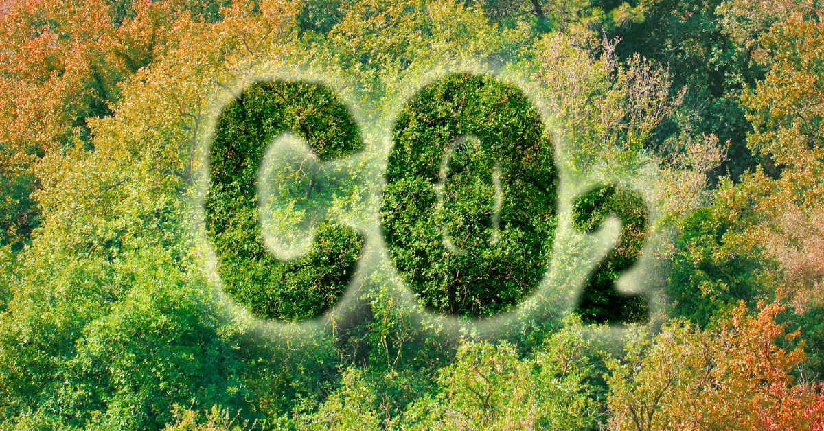 Adhésifs écoresponsables - Ecologie