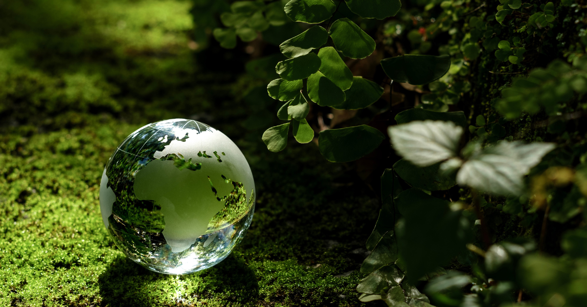 Cerclage et agrafe personnalisables - RSE