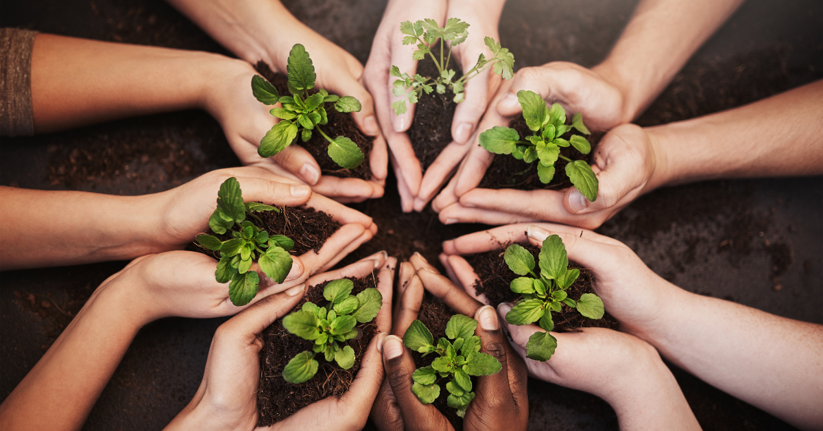 Films plastiques écoresponsables - Approche responsable