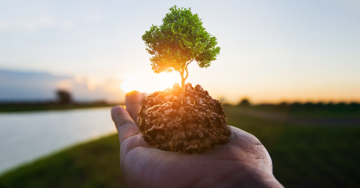 Films plastiques personnalisables - RSE