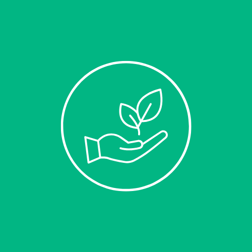 Solutions éco-responsables